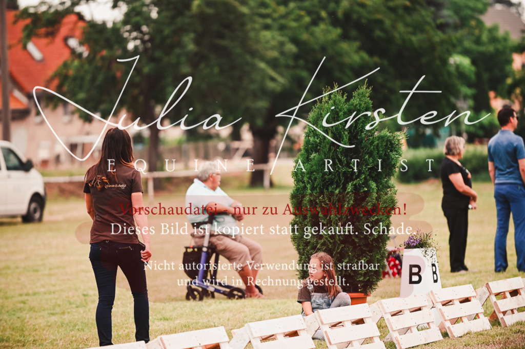 DSC_5750 | Pferde- und Turnierfotografie in Westsachsen. Pferdeportraits, Auftragszeichnungen und intuitive Kunst.