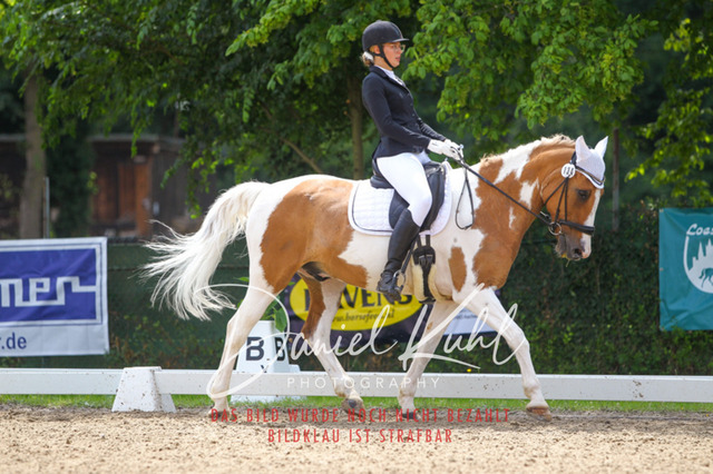 DKP42146 | Turniersportfotografie; Pferdefotografie; Dressurfotografie