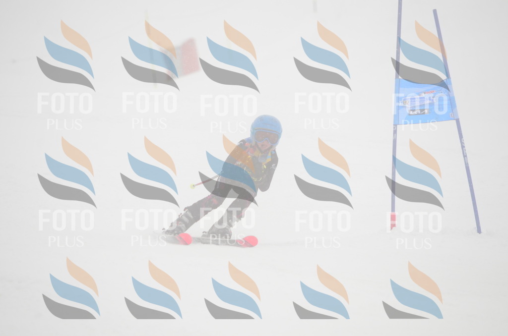 C0807 | holidayphoto