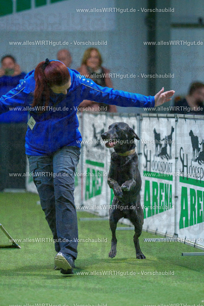 7R502506 | Professionelle Tierfotografie in Mönchengladbach von Daniel Wirth (allesWIRTHgut). Liebevolle & natürliche Bilder von Hunden & Katzen für unvergessliche Erinnerungen.