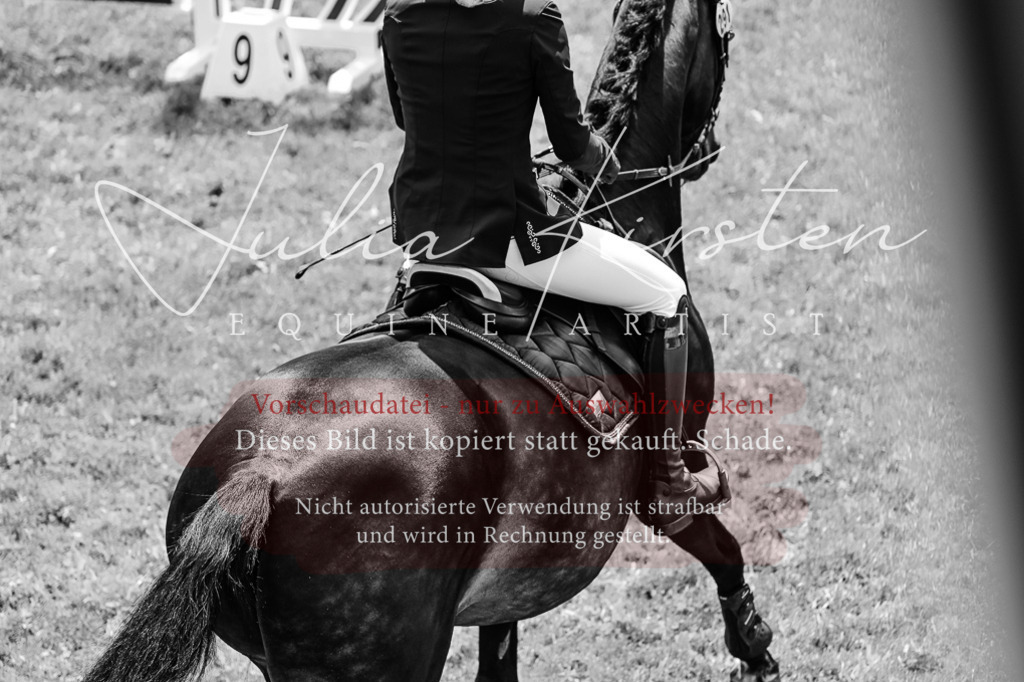 DSC_9447 | Pferde- und Turnierfotografie in Westsachsen. Pferdeportraits, Auftragszeichnungen und intuitive Kunst.