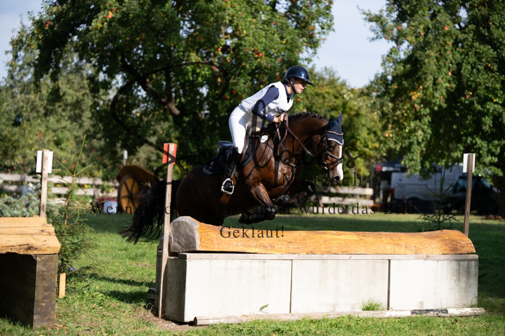 A7V03276 | Pferdefotograf