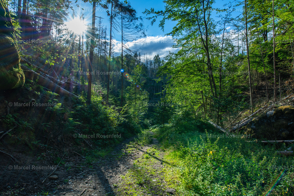 _DSC7337-2 | foto-rosenfeld