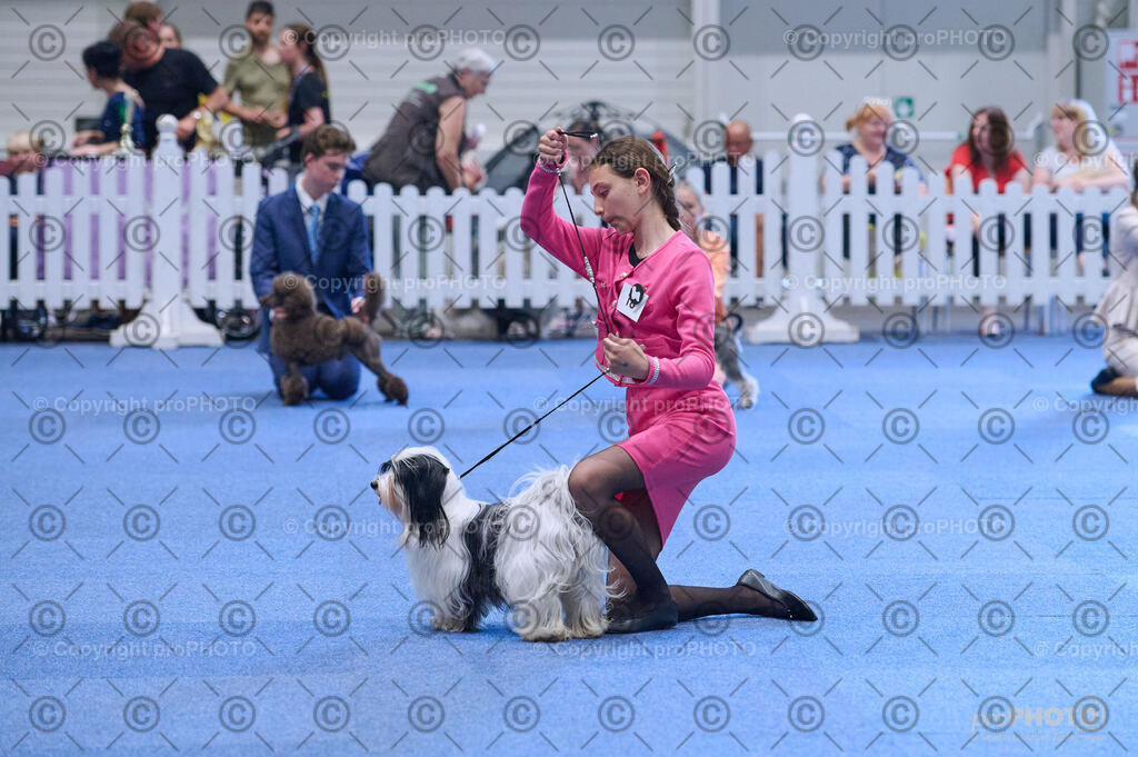 202406_ÖKV-IHA-Tulln24_DSC_3550 | proPHOTO - Realisiert mit Pictrs.com