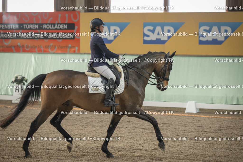 _D5A3908 | Emotionale Pferde- & People-Fotografie rund um Heidelberg, Leimen & Umgebung. Natürliche Fotos von Pferd, Mensch & Familie. Jetzt Termin sichern!