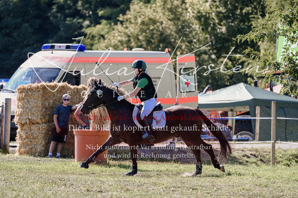 DSC_3630 | Pferde- und Turnierfotografie in Westsachsen. Pferdeportraits, Auftragszeichnungen und intuitive Kunst.