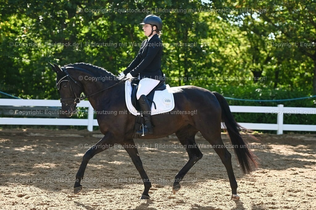 20230715_06_Dressurpferdeprfg. Kl.A_0332 | equistock