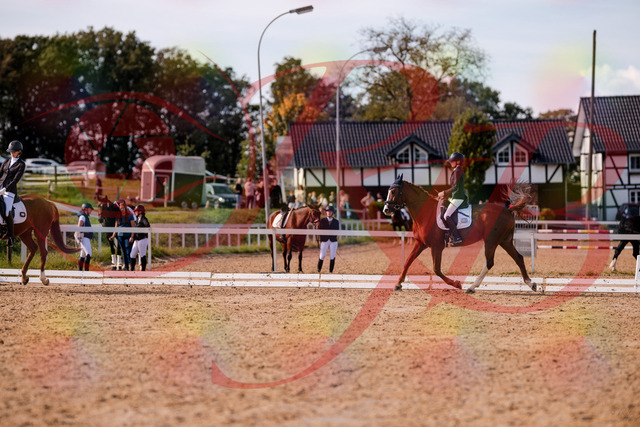 2026_10_03_Siefer-Hof_133120_Z81_84830624 | Professionelle Reitsport-, Turnier- und Eventfotografie von Robert Broda. Galerien mit ausgewählten und bearbeiteten Bildern direkt online ansehen und bestellen.