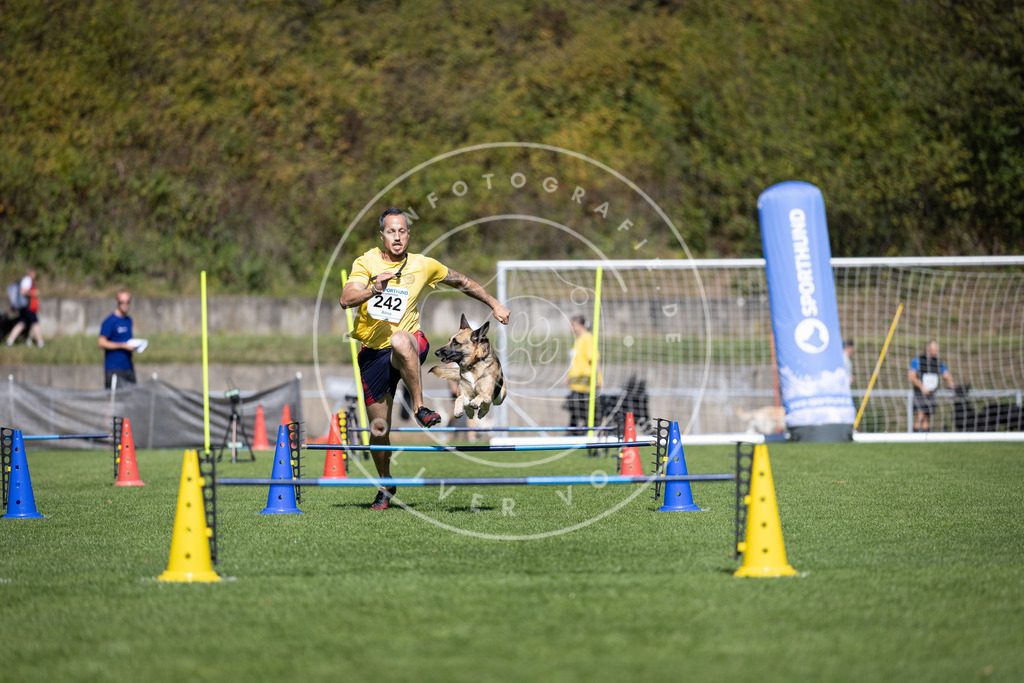 Pfotenfotografie_DV3A5940 | Hundefotografie, Tierfotograf, Pfotenfotografie, Fotoshooting Hund, Hunde Portrait, Hundesport, Hundeportraits, Heideshooting, Hunde, Sportfotograf, Hundefotograf, Turnierhundsport, THS,  - Realisiert mit Pictrs.com