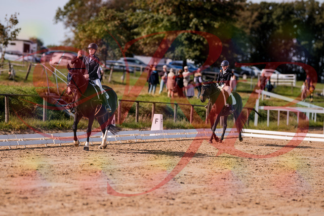 2026_10_03_Siefer-Hof_121326_Z81_13403481 | Professionelle Reitsport-, Turnier- und Eventfotografie von Robert Broda. Galerien mit ausgewählten und bearbeiteten Bildern direkt online ansehen und bestellen.