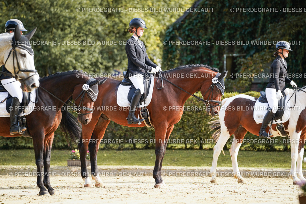 DSC05797 | Pferdegrafie