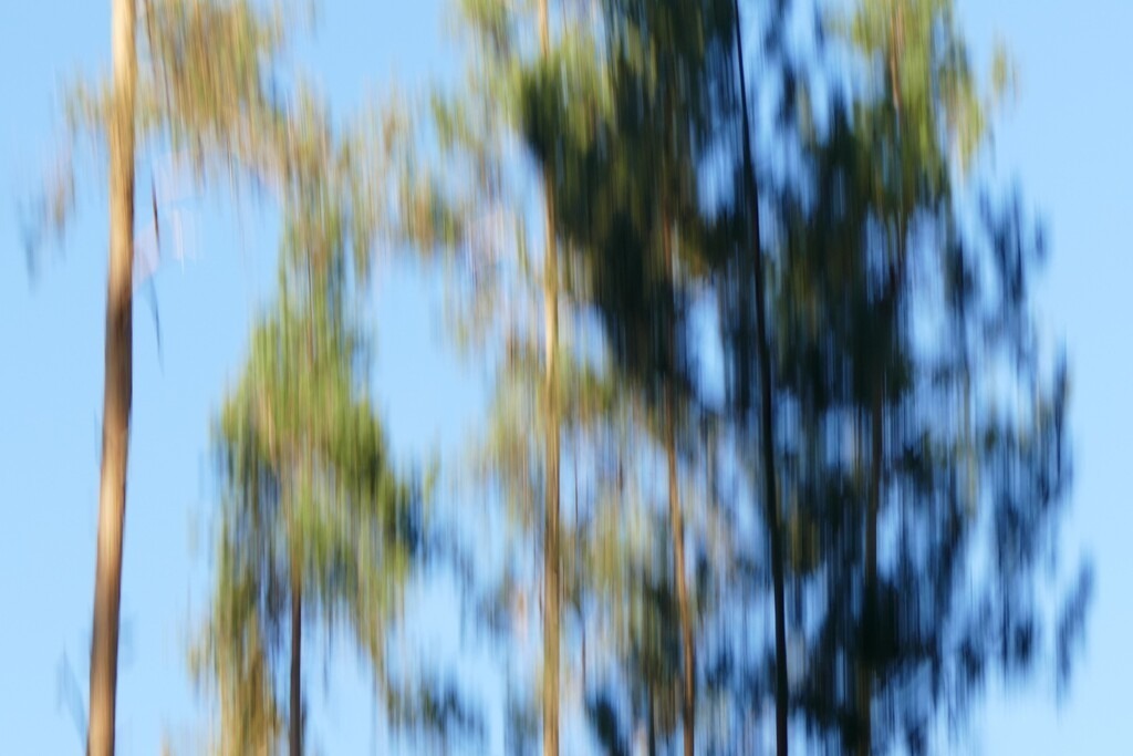 P4050758_b | Annaeherungen - Realisiert mit Pictrs.com