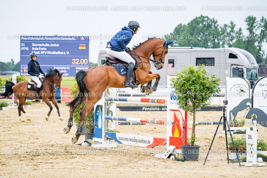 DSC08259 | Pferdegrafie