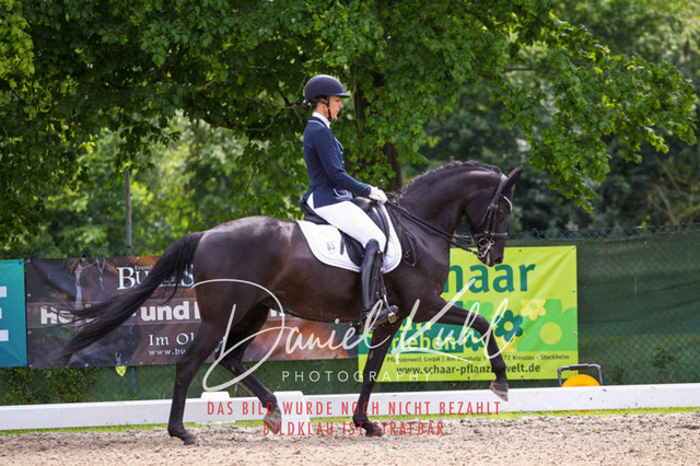 DKP41043 | Turnierfotos kaufen im Webshop von Daniel Kuhl Photography – entdecke professionelle Reitsportfotos aus Turnieren & Events. Hochwertige Turnierbilder online bestellen & sichern. Jetzt Fotos von Reitsportturnieren kaufen!