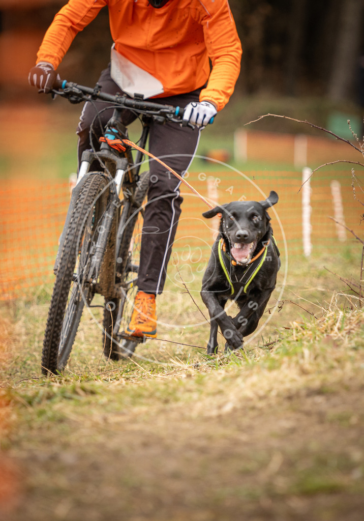 DV3A1683 | Hundefotografie, Tierfotograf, Pfotenfotografie, Fotoshooting Hund, Hunde Portrait, Hundesport, Hundeportraits, Heideshooting, Hunde, Sportfotograf, Hundefotograf, Turnierhundsport, THS,  - Realisiert mit Pictrs.com