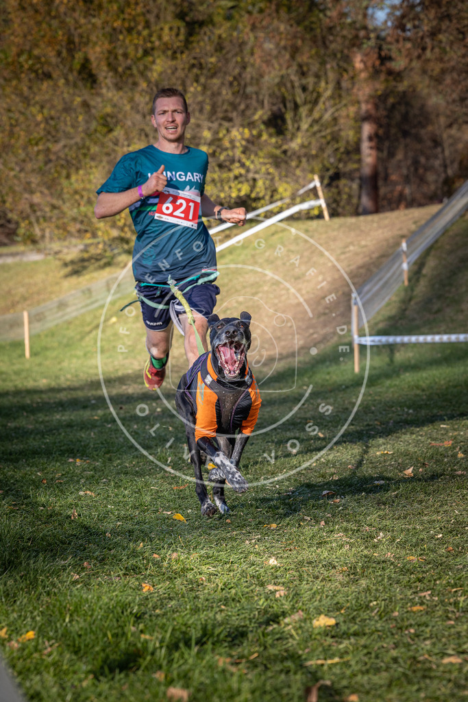 CaniXpix_0L8A8789 | Hundefotografie, Tierfotograf, Pfotenfotografie, Fotoshooting Hund, Hunde Portrait, Hundesport, Hundeportraits, Heideshooting, Hunde, Sportfotograf, Hundefotograf, Turnierhundsport, THS,  - Realisiert mit Pictrs.com