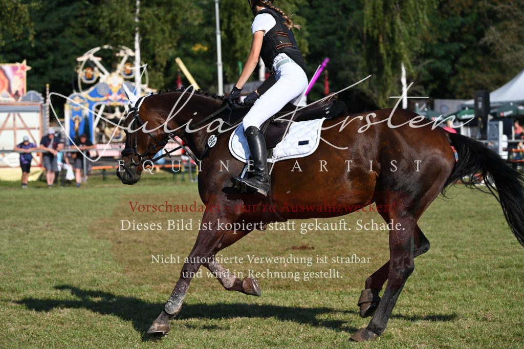 DSC_4934 | Pferde- und Turnierfotografie in Westsachsen. Pferdeportraits, Auftragszeichnungen und intuitive Kunst.