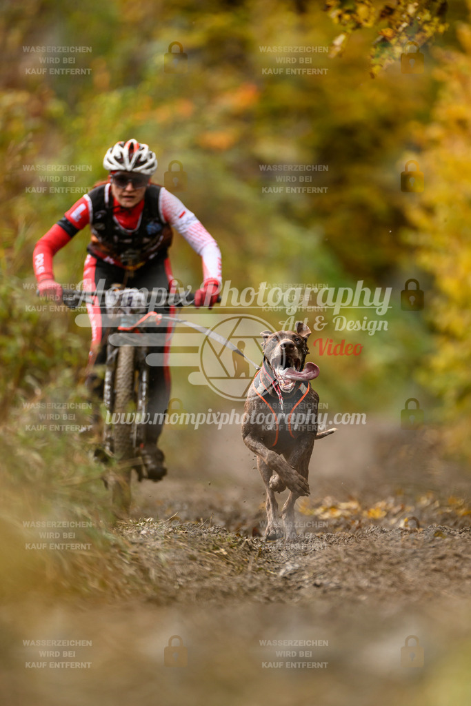 MompixPhotography_ICF_WC_2024_SA_Bike_-78 | PayLife