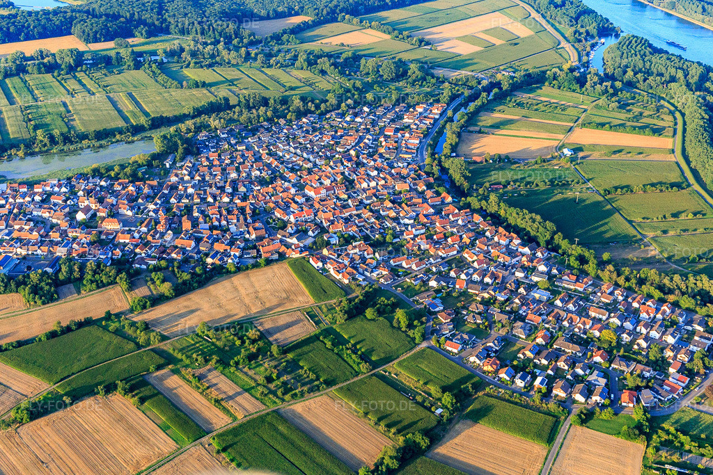 Luftbild: Ortsansicht von Nordwesten in Neuburg am Rhein im Bundesland Rheinland-Pfalz in Deutschland. Foto: IMG_121035.jpg vom 23.07.2020 durch Werner Riehm/FLY-FOTO.de