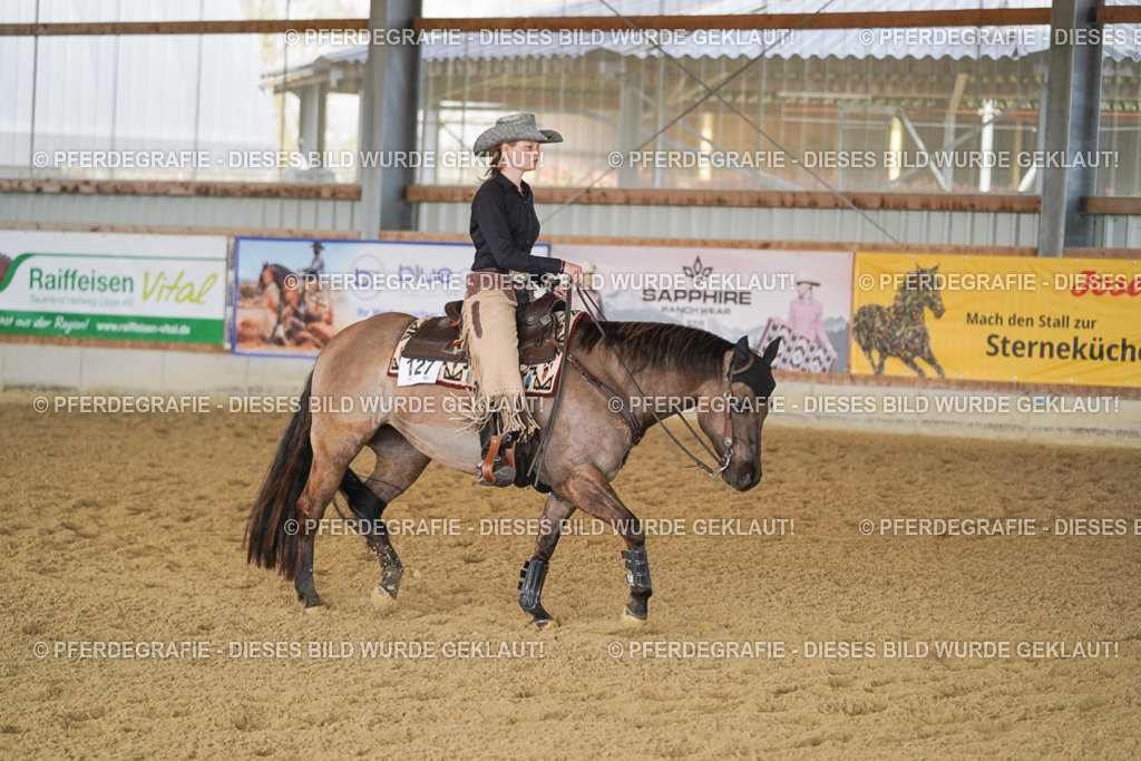 DSC00379 | Pferdegrafie