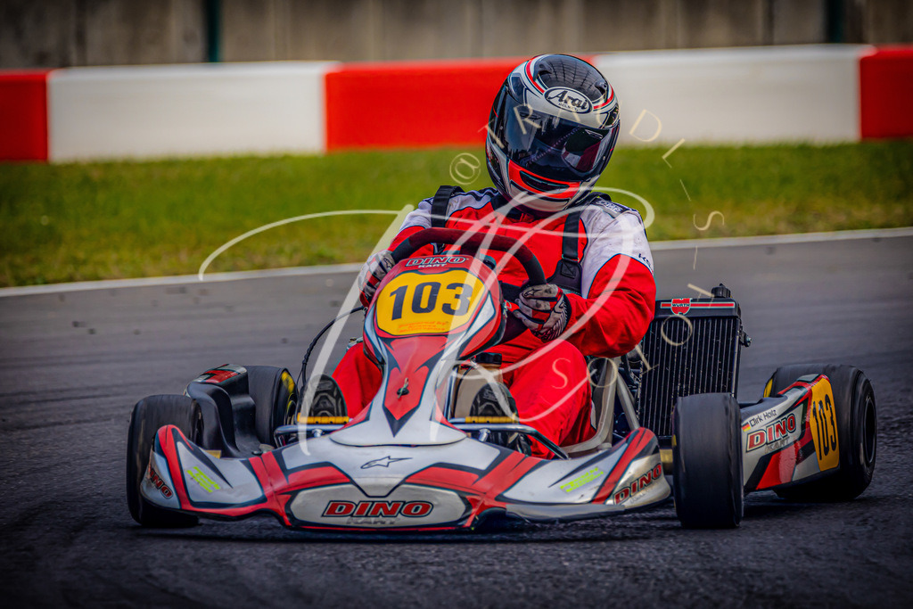 EA37F3A3-EAF2-4D34-8BE2-248563D04A6F | traudl_s_fotos