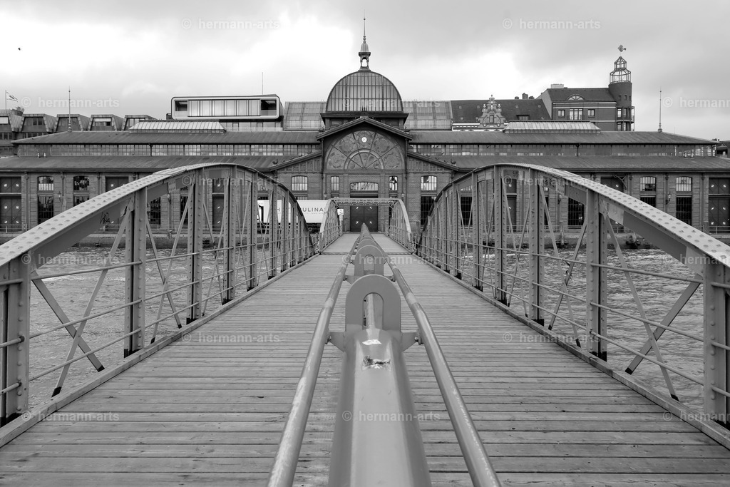 Hamurg_Arts-026 | Photo Foto Kunst Art schwarzweiss Bilder Rheine Münster Berlin Blumen 