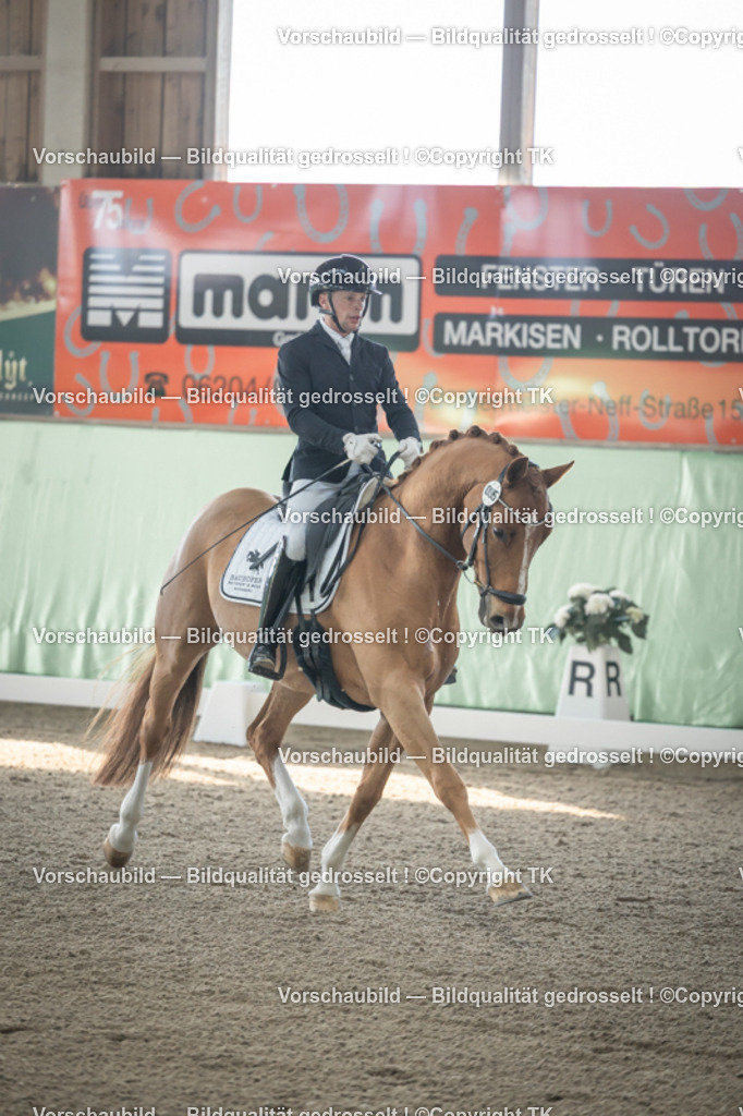 _D5A0406 | Emotionale Pferde- & People-Fotografie rund um Heidelberg, Leimen & Umgebung. Natürliche Fotos von Pferd, Mensch & Familie. Jetzt Termin sichern!