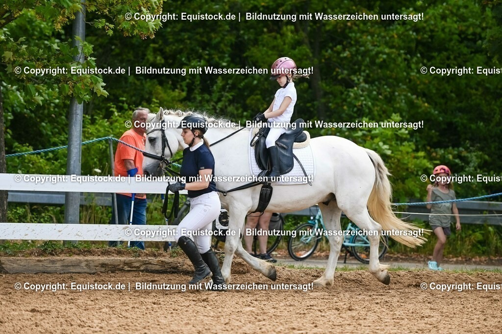 20230716_11_Führzügel-WB_0153 | equistock