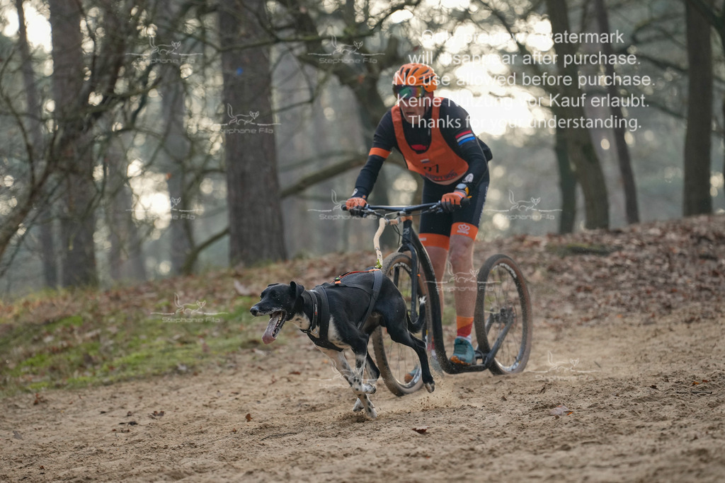 Scooter1-155 | stephaniefillaphotographie - Realisiert mit Pictrs.com