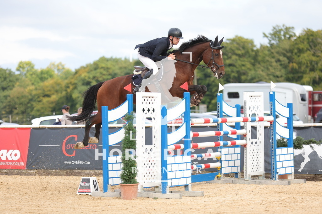 0P6A9211 | Willkommen bei Brunnmayr - Design & Fotografie – Ihrem Spezialisten für Reitturniere und Pferdeveranstaltungen in Oberösterreich, Salzburg und Bayern! Seit über 17 Jahren sind wir leidenschaftlich dabei.