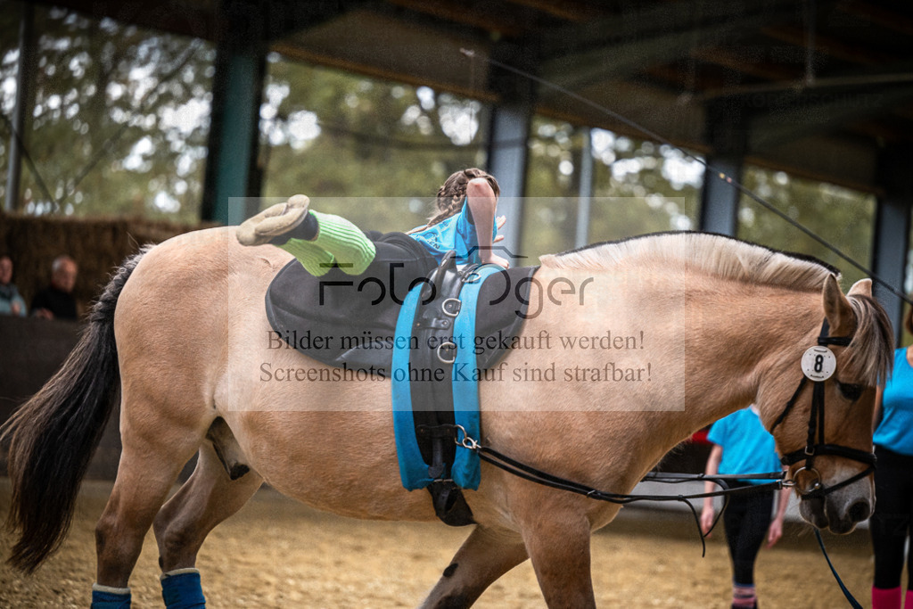 DOS_0220 | Entdecke hochwertige Reitturnierfotos von Foto Oger. Professionell, emotional und authentisch – jetzt Lieblingsmomente im Shop bestellen.Deutschlandweite Turnierfotografie. - Realisiert mit Pictrs.com