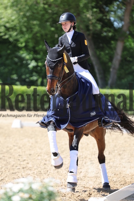 Böblingen_2025_Prfg.Nr.08_Dressurprüfung_Kl.M_Nürnberger Burgpokal_Siegerehrung_Prfg.Nr.08__ (49) | Alle Fotos der Reiterjournal Fotografin Doris Matthaes im Reiterjournal Online-Fotoshop. - Realisiert mit Pictrs.com