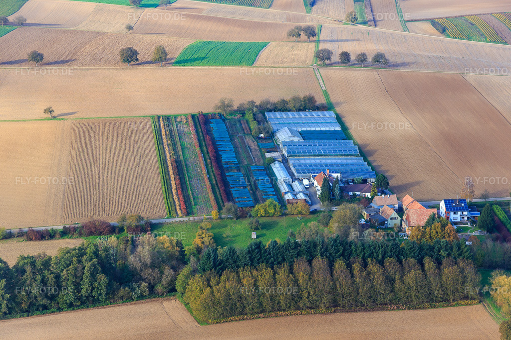 Luftbild: Gärtnerei in Vollmersweiler im Bundesland Rheinland-Pfalz in Deutschland. Foto: IMG_075856.jpg vom 02.11.2014 durch Werner Riehm/FLY-FOTO.de