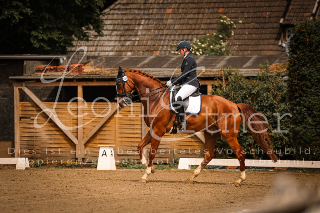 18.SoDrLK00157 | Leoni Ertmer Photography - Realisiert mit Pictrs.com