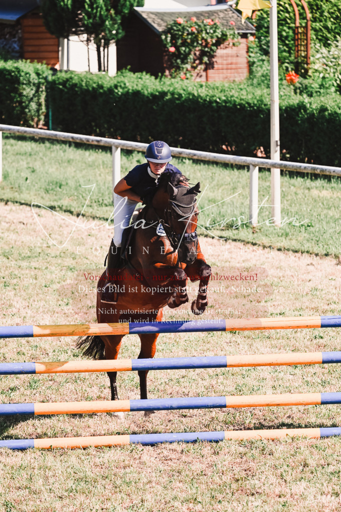 DSC_2111 | Pferde- und Turnierfotografie in Westsachsen. Pferdeportraits, Auftragszeichnungen und intuitive Kunst.