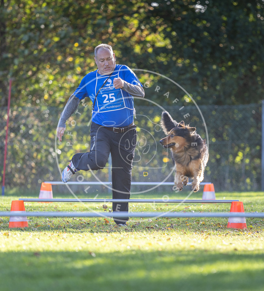 Pfotenfotografie.de_DV3A3066 | Hundefotografie, Tierfotograf, Pfotenfotografie, Fotoshooting Hund, Hunde Portrait, Hundesport, Hundeportraits, Heideshooting, Hunde, Sportfotograf, Hundefotograf, Turnierhundsport, THS, canicross - Realisiert mit Pictrs.com