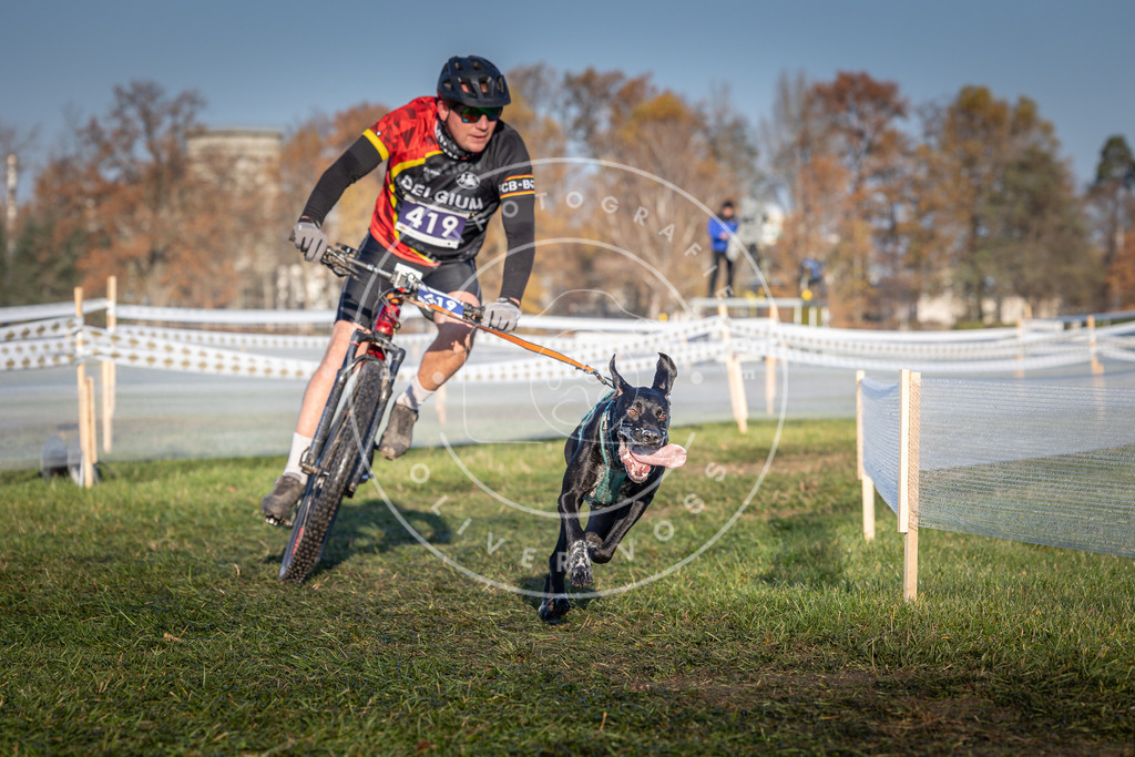 CaniXpix_0L8A4133 | Hundefotografie, Tierfotograf, Pfotenfotografie, Fotoshooting Hund, Hunde Portrait, Hundesport, Hundeportraits, Heideshooting, Hunde, Sportfotograf, Hundefotograf, Turnierhundsport, THS,  - Realisiert mit Pictrs.com