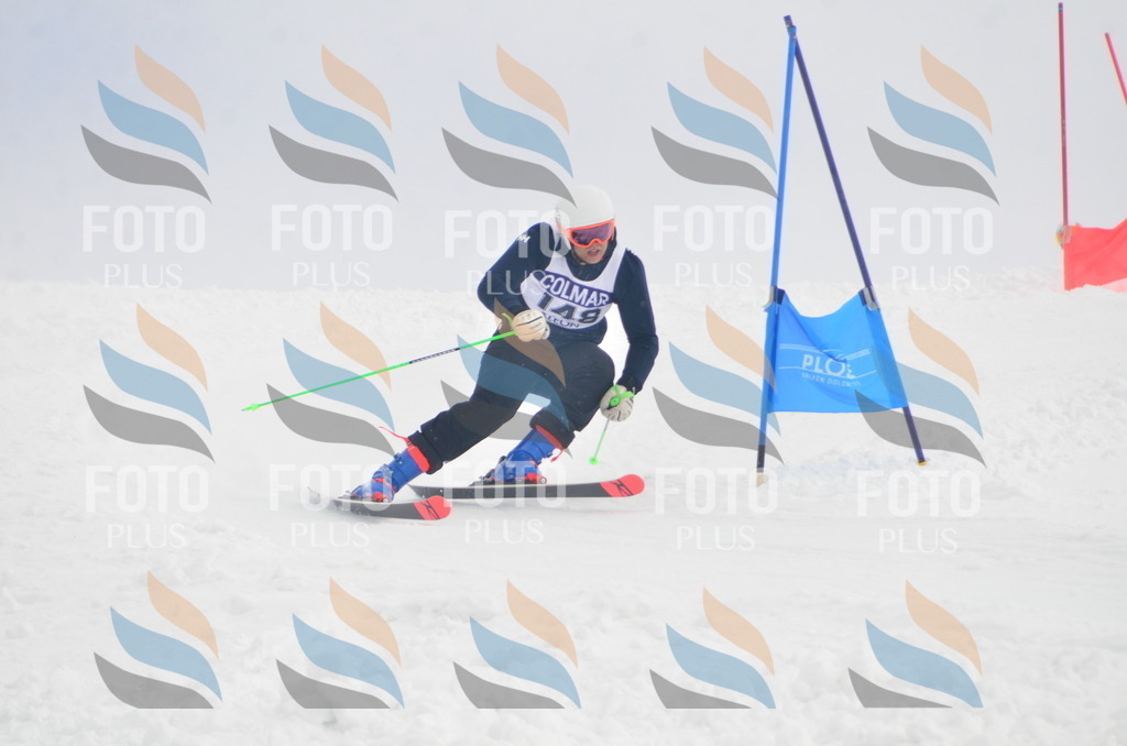 A6229 | holidayphoto