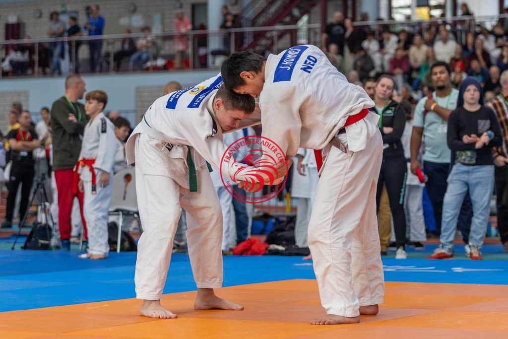 Internationaler Adler Cup 2024 | Foto vom Internationalen Adler Cup Judo Turnier im Sport- und Freizeitzentrum Kalbach im Oktober 2024 - Realisiert mit Pictrs.com