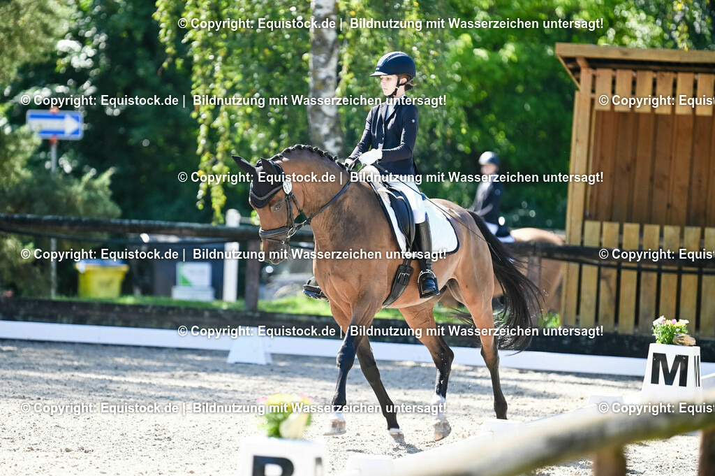 20230908_06_Dressur-L-Trense_0293 | equistock