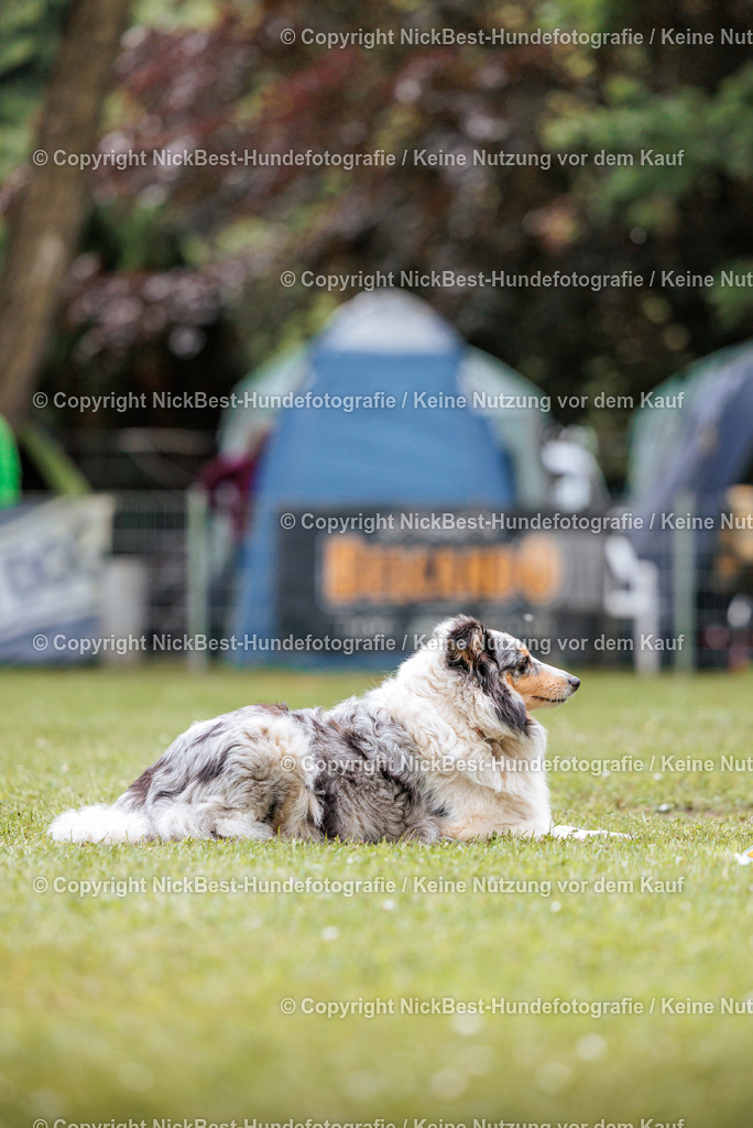 RO-Blumenthal-2026-Nickbest-Hundefotografie-2907 | Dein Hund! Dein Moment! Deine Erinnerungen! Hundefotografie in Bremen Blumenthal. Ich fange die besonderen Momente deines Vierbeiners ein – ob Indoor mit Blitzanlage oder in der freien Natur. Sicher dir dein Moment und dein Termin für eure Erinnerungen.