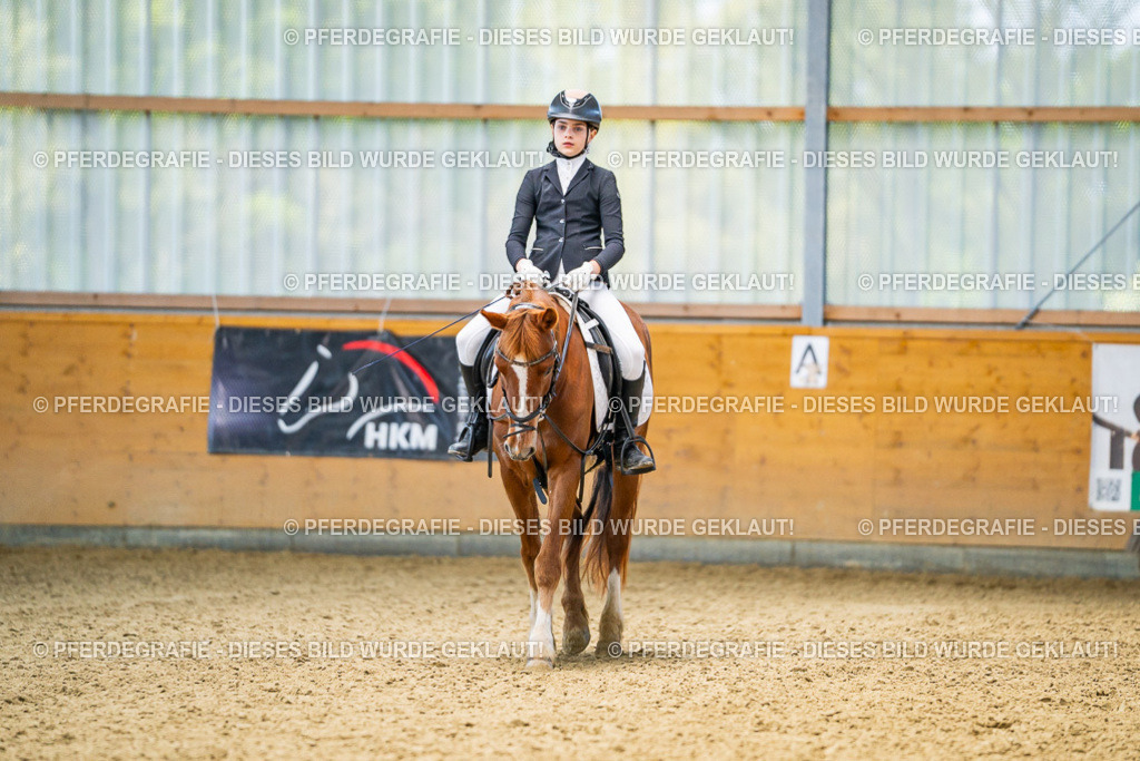 DSC03049 | Pferdegrafie