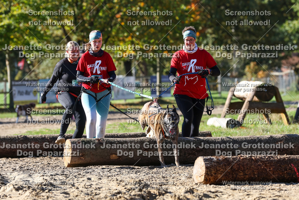 Dog Paparazzi - Strongdog 10-25-2779 | Dog Paparazzi Jeanette Grottendiek Fotografie & Videografie - Realisiert mit Pictrs.com