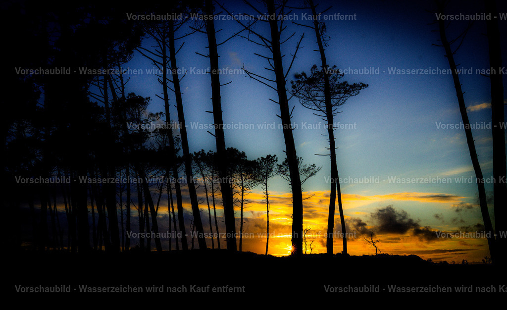 DSC01846 | marcuslinek