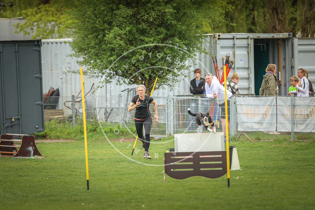 Pfotenfotografie_0L8A1965 | Hundefotografie, Tierfotograf, Pfotenfotografie, Fotoshooting Hund, Hunde Portrait, Hundesport, Hundeportraits, Heideshooting, Hunde, Sportfotograf, Hundefotograf, Turnierhundsport, THS,  - Realisiert mit Pictrs.com