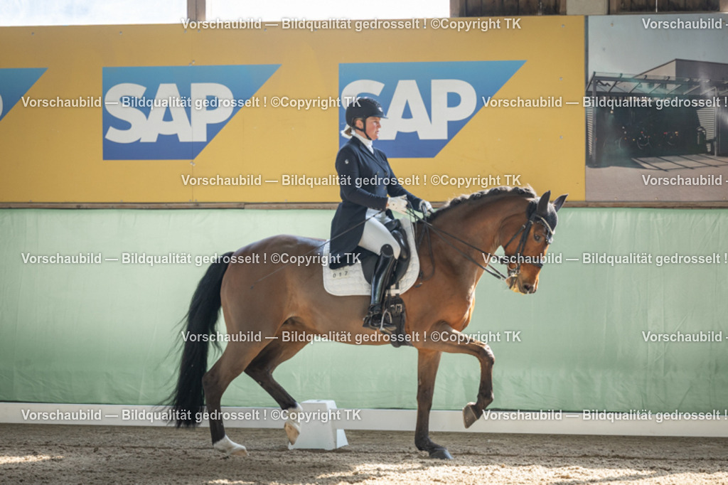 _D5A9679 | Emotionale Pferde- & People-Fotografie rund um Heidelberg, Leimen & Umgebung. Natürliche Fotos von Pferd, Mensch & Familie. Jetzt Termin sichern!