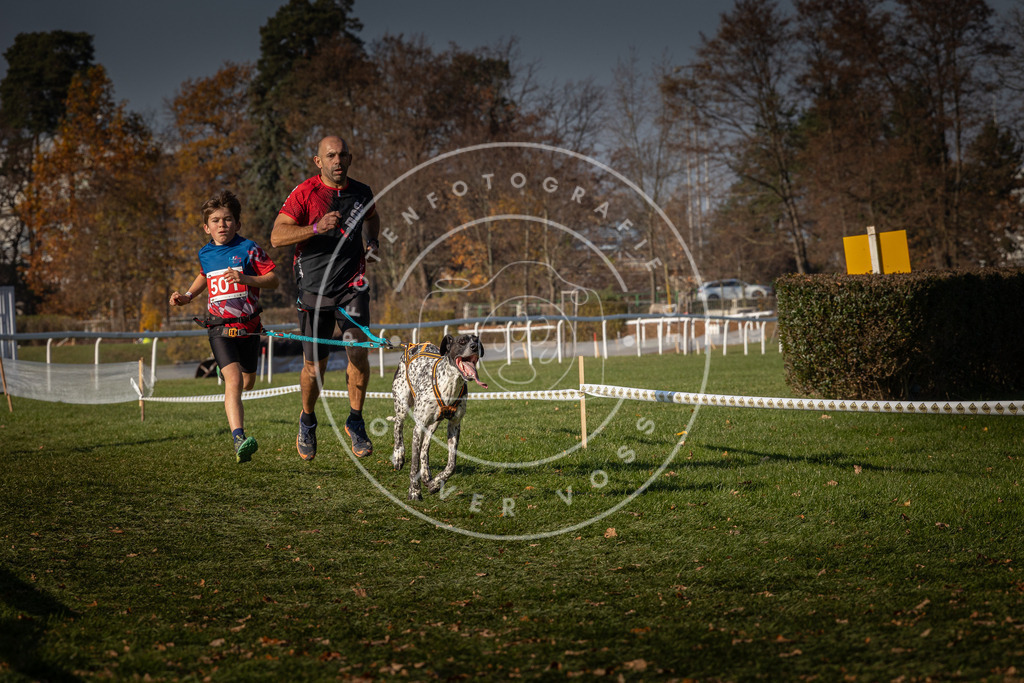 CaniXpix_0L8A8223 | Hundefotografie, Tierfotograf, Pfotenfotografie, Fotoshooting Hund, Hunde Portrait, Hundesport, Hundeportraits, Heideshooting, Hunde, Sportfotograf, Hundefotograf, Turnierhundsport, THS,  - Realisiert mit Pictrs.com