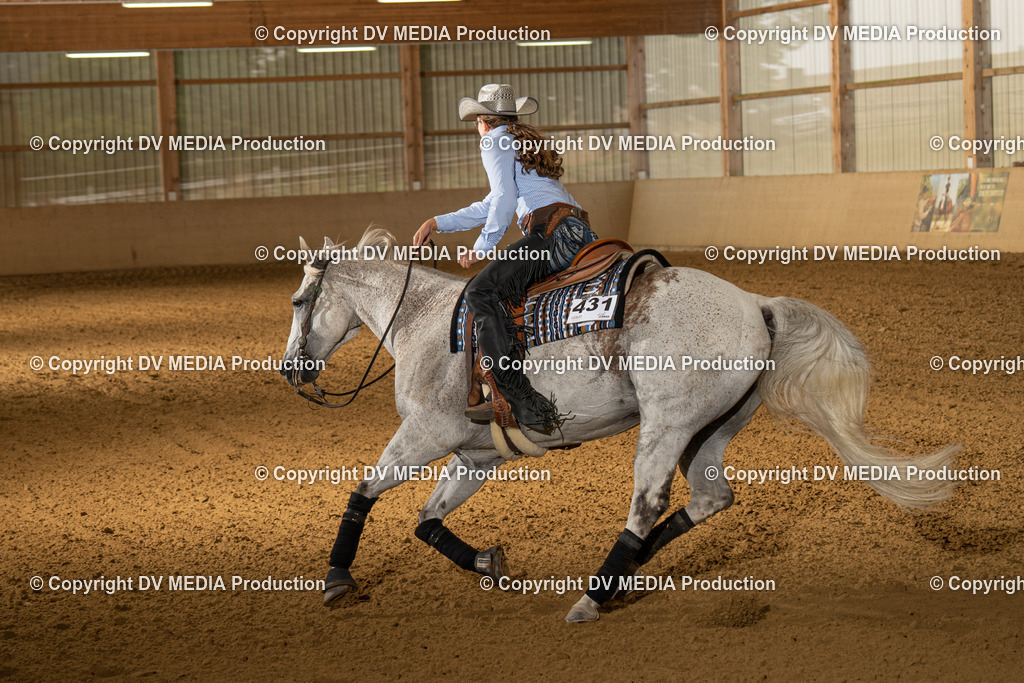 LAU00950 | dv-media-shop - Realisiert mit Pictrs.com