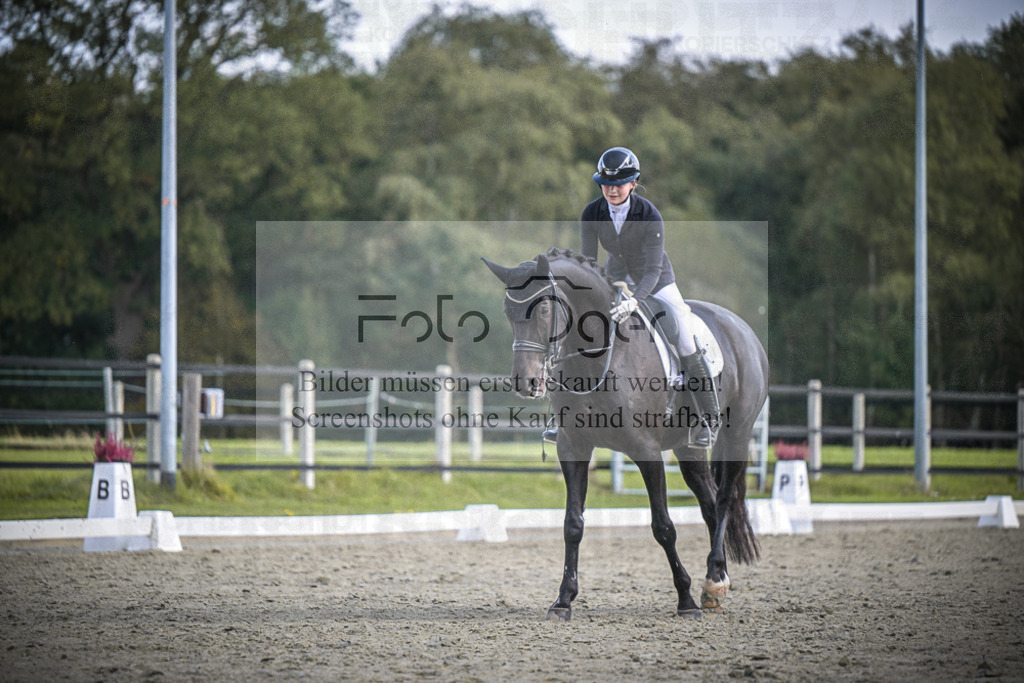 DOS_0437 | Entdecke hochwertige Reitturnierfotos von Foto Oger. Professionell, emotional und authentisch – jetzt Lieblingsmomente im Shop bestellen.Deutschlandweite Turnierfotografie. - Realisiert mit Pictrs.com