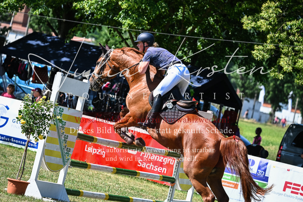 DSC_1574 | Pferde- und Turnierfotografie in Westsachsen. Pferdeportraits, Auftragszeichnungen und intuitive Kunst.